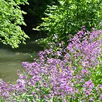 Naturferienwohnung Am Lautergarten Апартаменты *