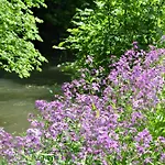 Апартаменты Naturferienwohnung Am Lautergarten *