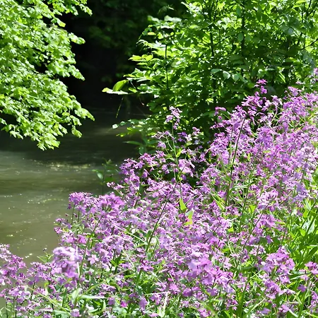 Apartmán Naturferienwohnung Am Lautergarten *